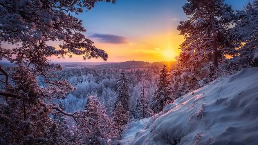 冬季森林雪太阳风景桌面壁纸高清大图预览1920x1080_风景壁纸下载