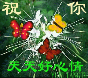 祝你开心图片_祝你开心动态图_祝你开心表情包gif动图下载_soogif