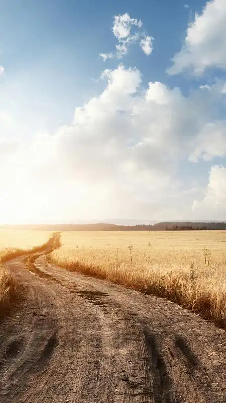 金色麦田h5背景