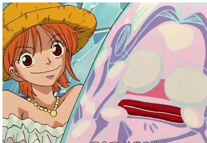 甜心皇后海贼王5颗自然醒果实被浪费索隆秒了3个娜美秒了1个