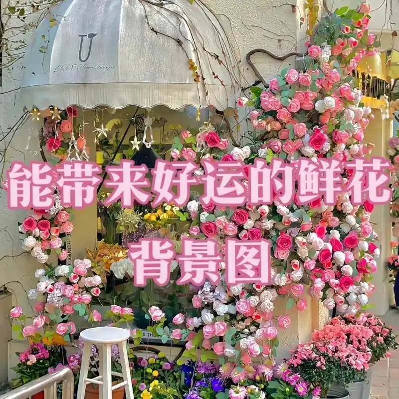 鲜花背景图.风有约,花不误 能带来好运的鲜花背景图#背景图# - 抖音