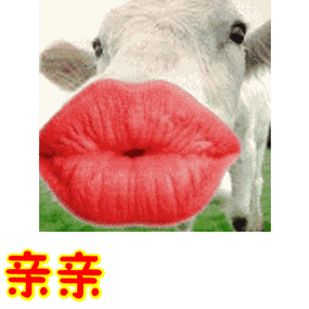 亲亲表情包动态gif表情图片 - 找表情上表情家