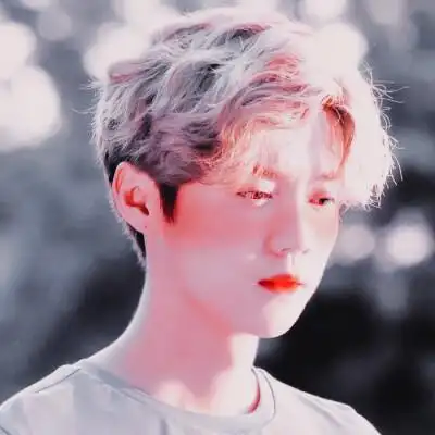 奔跑吧兄弟第四季鹿晗图