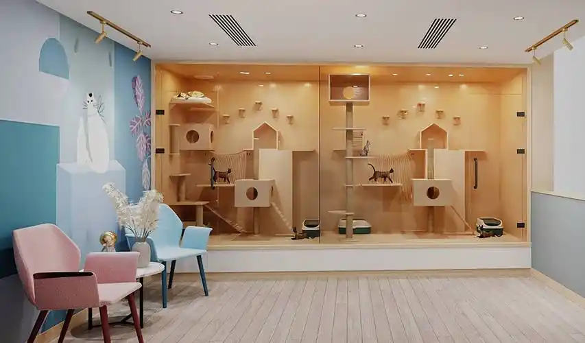 合肥宠物店装修如何装出可爱合肥宠物店装修效果图