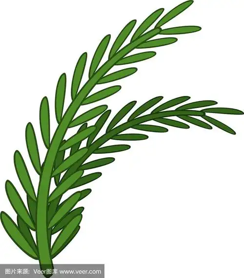 新鲜的迷迭香枝条图标卡通风格