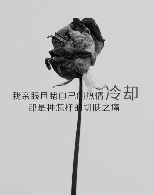 绝望的伤感短语说说:左手捏回忆