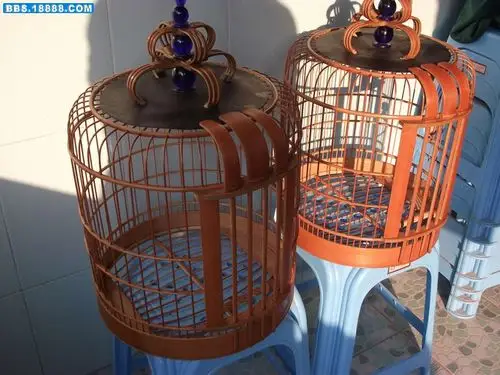 出贵阳画眉笼一对 黄豆鸟笼 套箱一套