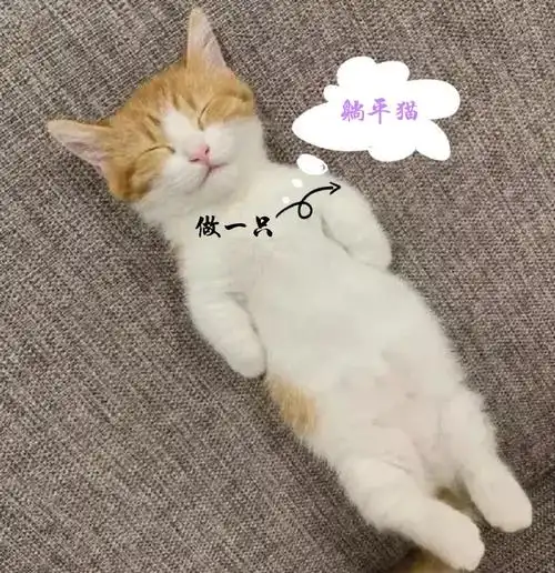 躺平学这个梗出自一位贴吧网友发的帖,这位网友自述