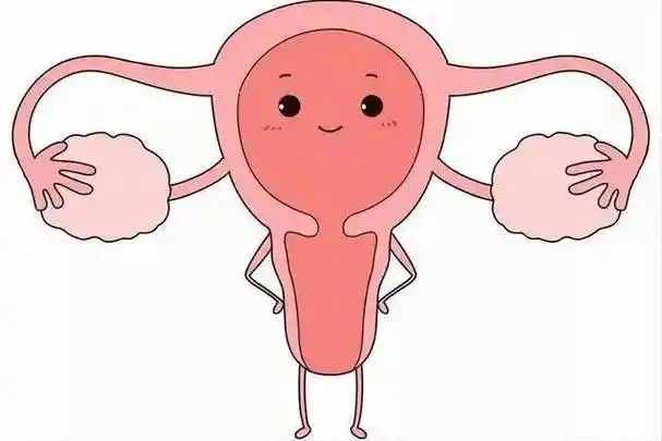 健康科普 | 这些行为,正在伤害女性的子宫!_周口_人流_短时间内