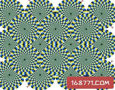 视觉图片盯10秒恐怖,视觉图片盯10秒吓死人-图片大观-奇异网