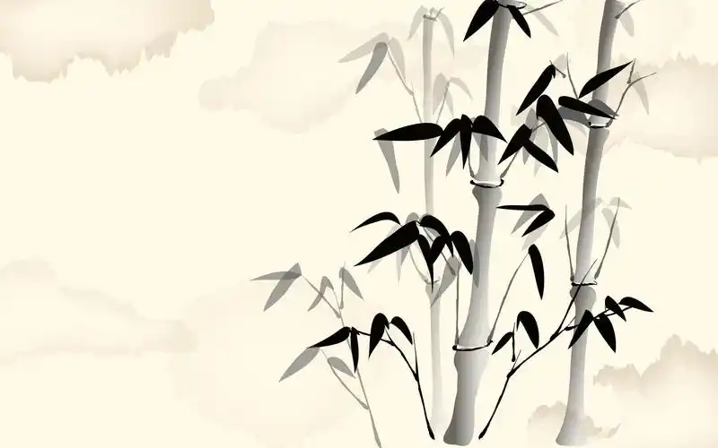 2019猪年农历二月初五出生的女孩五行缺水起什么名字好