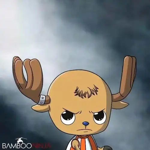 来自老外做的,武士乔巴短视频~~可爱!