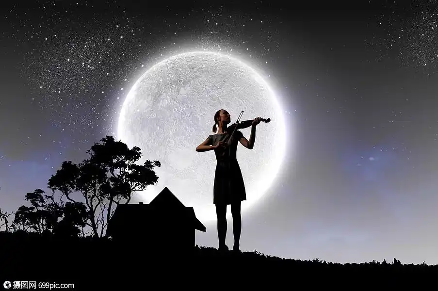 女小提琴手晚上拉小提琴的女人的剪影经典轮廓