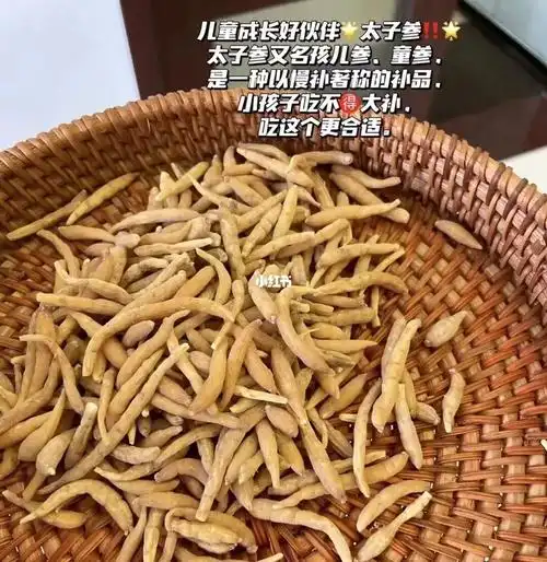 太子参麦冬