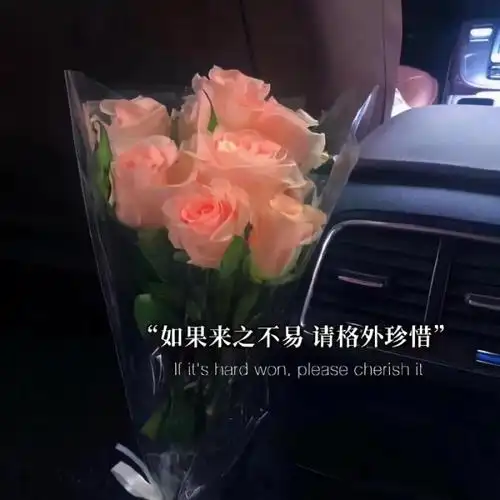 抖音图片最火图片抖音热门文字朋友圈背景图