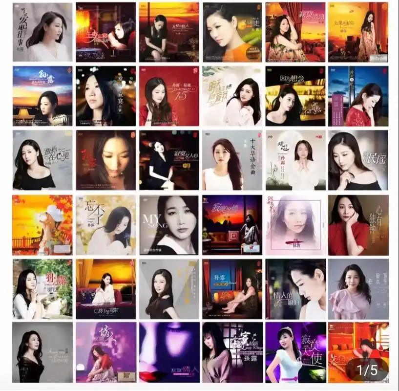 正版发烧cd碟 孙露 36张合辑 人声无损音质唱片试机碟hi - 抖音