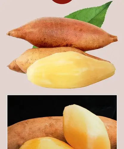 云南雪莲果天山雪莲果大果长果红色黄心农家当季新鲜水果10斤包邮