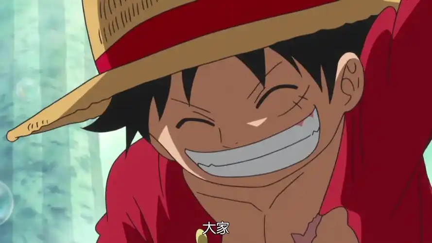 二年后的草帽海贼团路飞娜美山治乔巴索隆罗宾乌索普弗兰奇布鲁克