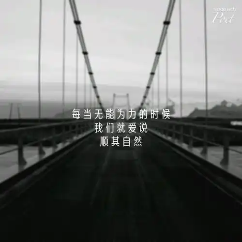 每当无能为力的时候我们就爱说顺其自然