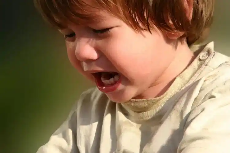 当你吼孩子的时候,其实也只是在发泄自己的情绪