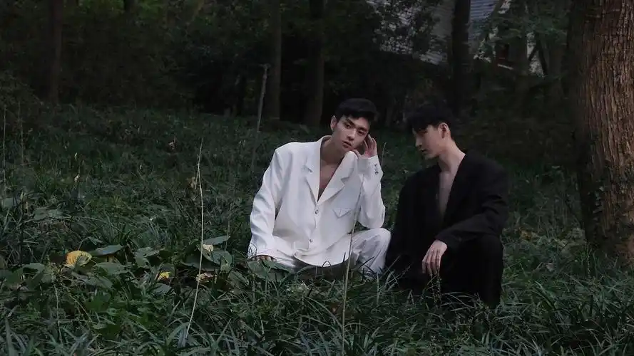 山水甲山 黑白双子