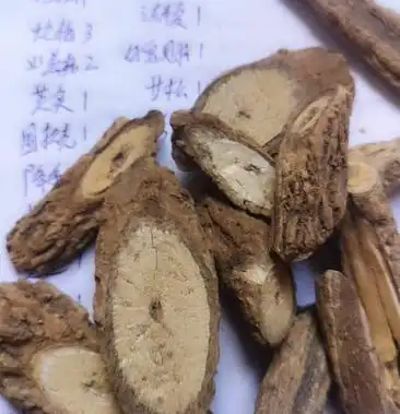 云南野生中药材乌骨藤扁藤通光散