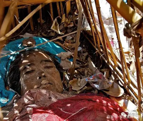 「深空揭秘」在太空中漂浮的尸体会腐烂吗?最终会怎么样?