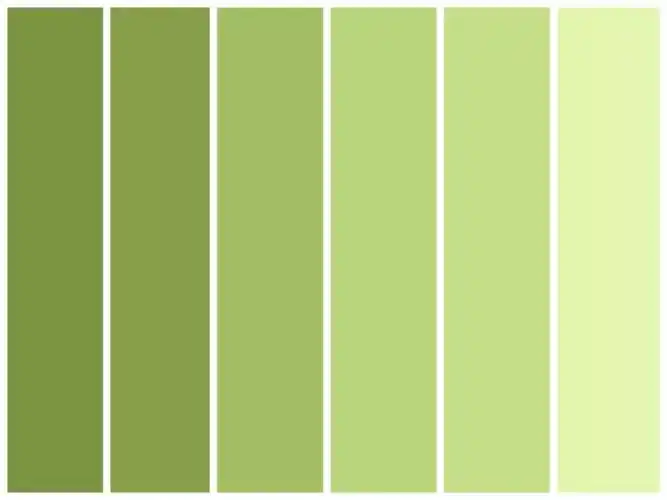 的多个颜色,本来嘛,牛油果本身也是一个从外到内,由深入浅的渐变绿色