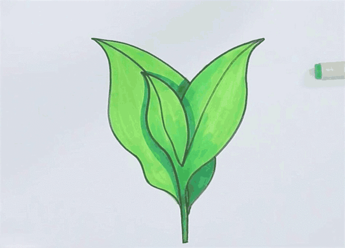 一盆多肉植物简笔画图片 一盆多肉怎么画