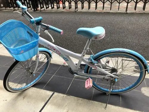 女大童22寸自行车