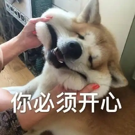 你必须开心(狗子)_狗子_开心_必须表情