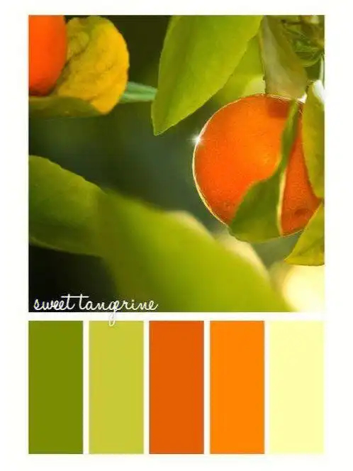 色彩心理学    #色卡#高级感配色   #配色灵感   #配色分享   #绿