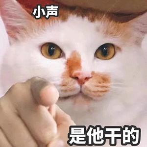 300_300gif 动态图 动图