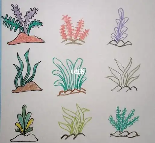 78海底总动员–水草水草简笔画怎么画?