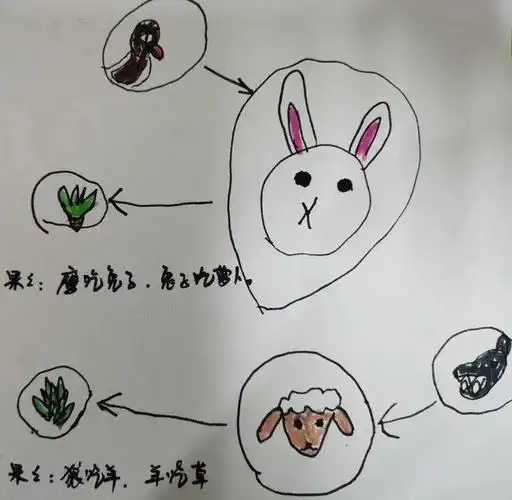 有趣的食物链一千零一叶第252叶