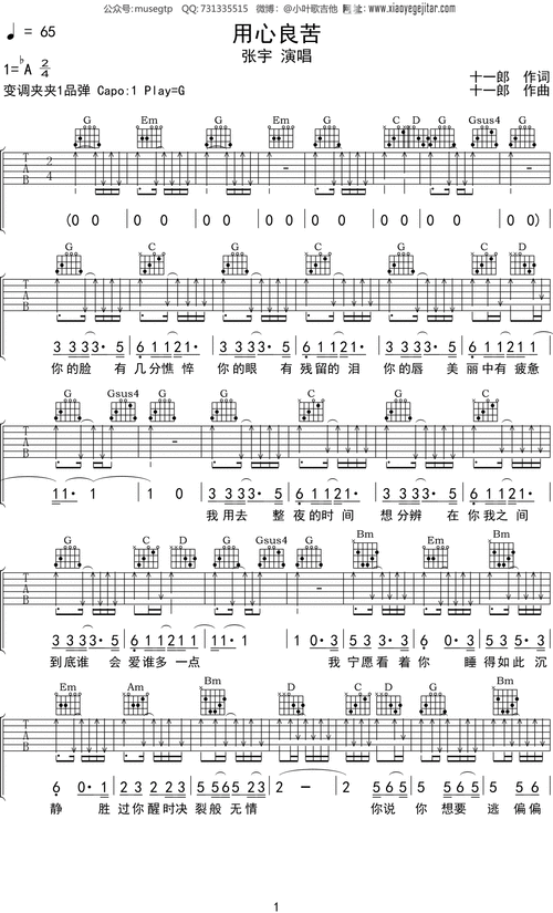 张宇《用心良苦》吉他谱g调吉他弹唱谱