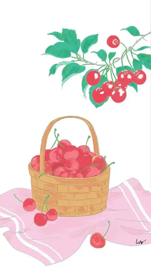 樱桃|插画|创作习作|玫瑰葡萄味儿 - 原创作品 - 站酷 (zcool)