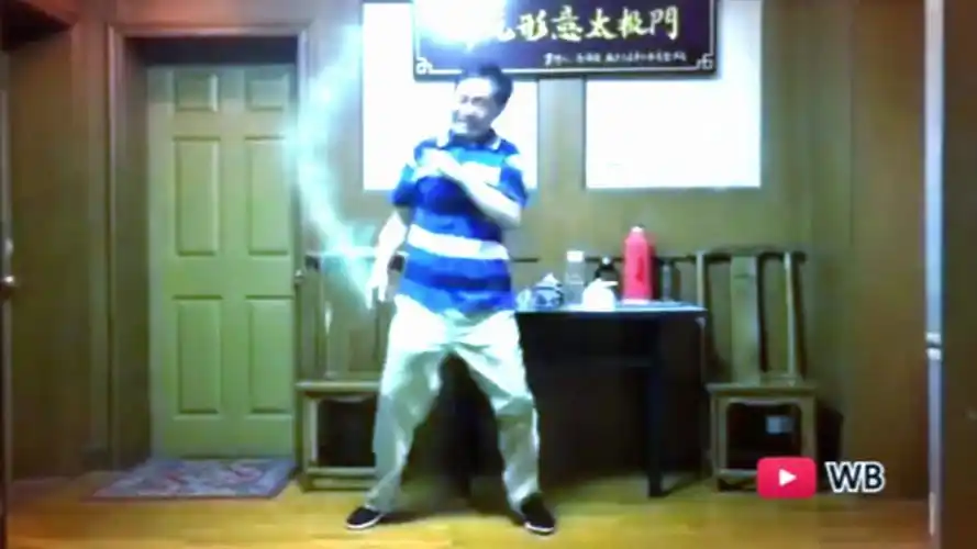 马保国】大师表演真闪电连五鞭