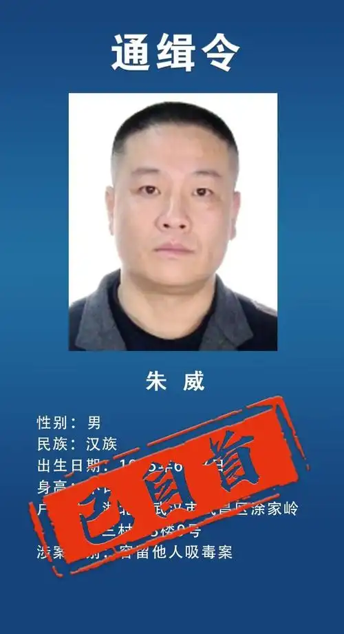 【重磅】通缉令发出不到48小时,7人归案!