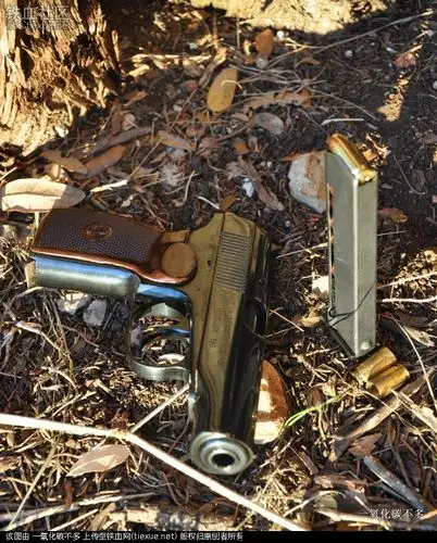 [原创]靶场劲射-我六十年老枪59式风采依然 - 军品鉴赏 - 铁血军事