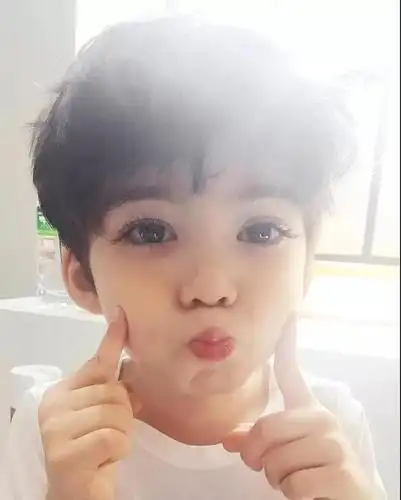 美的不像人, 一双眼睛简直像浸在水中的水晶一样澄澈.