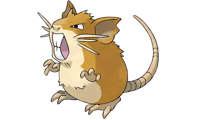 能在阿罗拉地区看见的拉达宝可梦的进化小拉达拉达