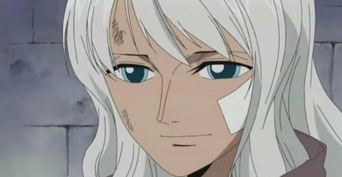 怀迪贝被成为冰之魔女,是白胡子麾下的43位联盟海贼团的船长之一,出现