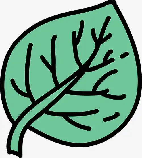 简笔画树叶高清素材卡通树叶手绘树叶简笔画绿色树叶免抠png设计图片