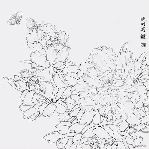 【国画教程】工笔牡丹《飞艳红妆》绘制步骤