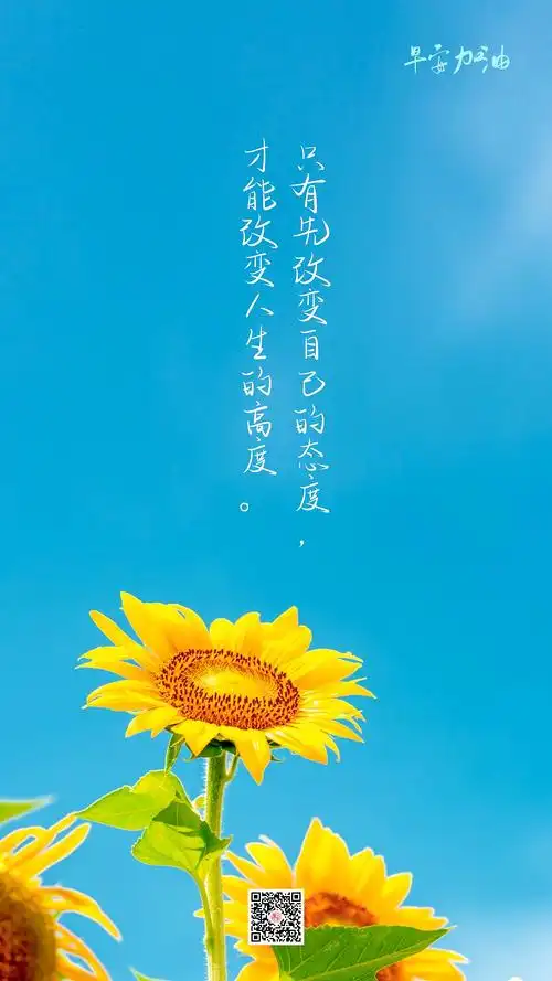 1242_2208竖版 竖屏