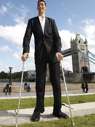 人(236cm),也很早就结婚了,但他的妻子只有168cm,所以没有打破世界