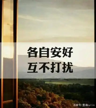 有一种感情,叫不再打扰