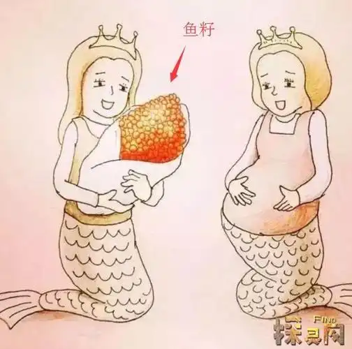 美人鱼是怎么生孩子的真实美人鱼生孩子图片