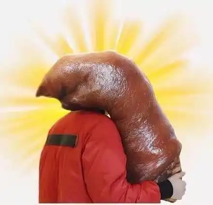 可爱的大猪蹄子